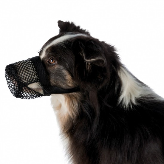 Φίμωτρο Σκύλου Camon με Δίχτυ για Φόλες No3 (000D171C) Φίμωτρα
