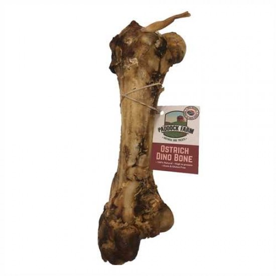 Κόκαλο Σκύλου Paddock Farm Ostrich Dino Bone 