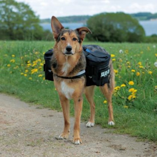 Αξεσουάρ Σκύλου Trixie Julius K-9 Bags 2 θήκες με φερμουάρ Μαύρο Αξεσουάρ Βόλτας-Σακούλες συλλογής απορριμάτων