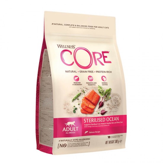 Wellness Core Grain Free Sterilised Σολομός 300gr WELLNESS CORE