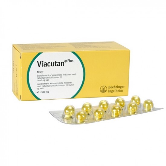 Συμπλήρωμα Διατροφής Viacutan Plus 40caps Βιταμίνες-Συμπληρώματα διατροφής