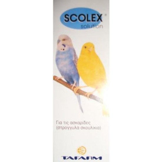 Συμπλήρωμα Διατροφής Πτηνών Tafarm Scolex 15ml Θεραπευτικά Πτηνών