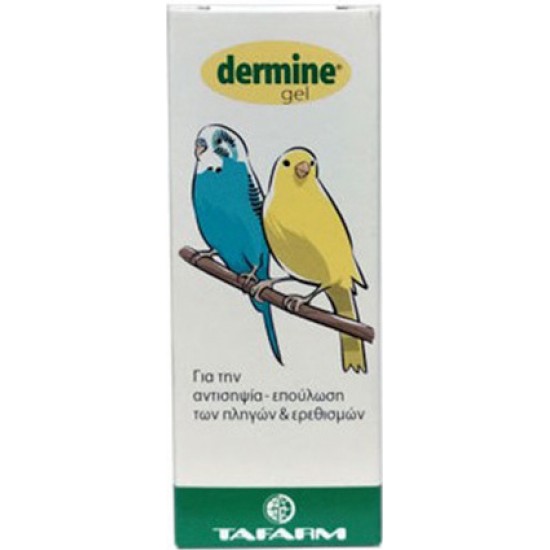 Θεραπευτικά Πτηνών Tafarm Dermine 4ml Θεραπευτικά Πτηνών